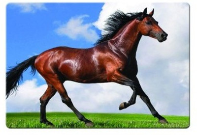 

Dadlace Horse Mousepad(Multicolor)