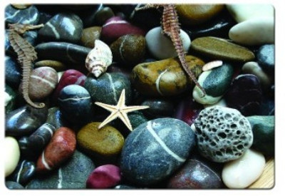 

Dadlace 346 Pebbles and shells Mousepad(Multicolor)