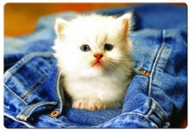 

Dadlace Kitty Pocket Mousepad(Multicolor)
