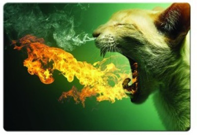 

Dadlace Angry Cat Mousepad(Multicolor)