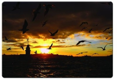

Dadlace Birds Sea Flying Mousepad(Multicolor)