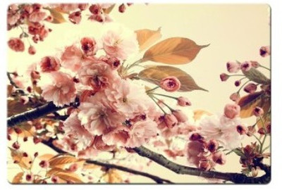 

Dadlace Tree Flowers Mousepad(Multicolor)