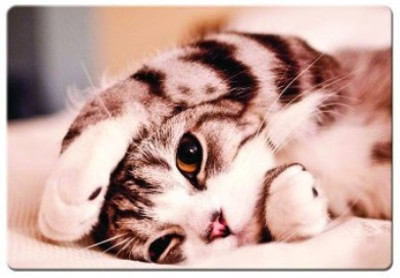 

Dadlace Innocent cat Mousepad(Multicolor)