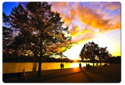 

Dadlace Nature Mousepad(Multicolor)