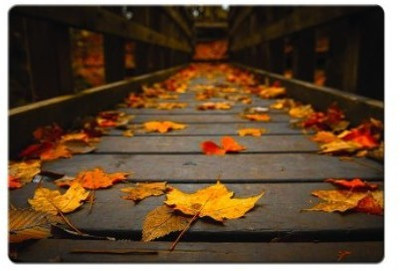 

Dadlace Autumn Leaves Mousepad(Multicolor)