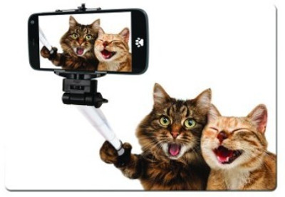 

Dadlace Funny Cat Selfie Mousepad(Multicolor)