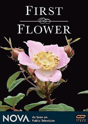 

FIRST FLOWER(DVD English)