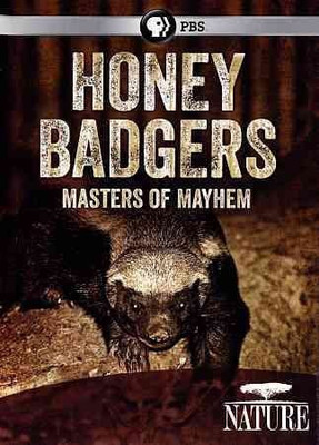 

NATURE:HONEY BADGERS MASTERS OF MAYHE(DVD English)