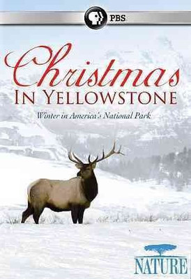 

NATURE:CHRISTMAS IN YELLOWSTONE(DVD English)