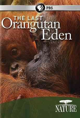 

NATURE:LAST ORANGUTAN EDEN(DVD English)