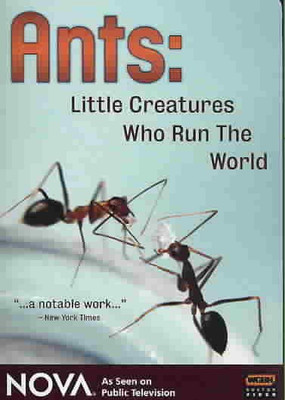 

ANTS - LITTLE CREATURES WHO RUN THE W(DVD English)