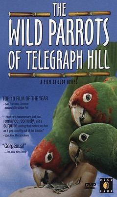 

WILD PARROTS OF TELEGRAPH HILL(DVD English)