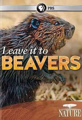 

NATURE:LEAVE IT TO BEAVERS(DVD English)