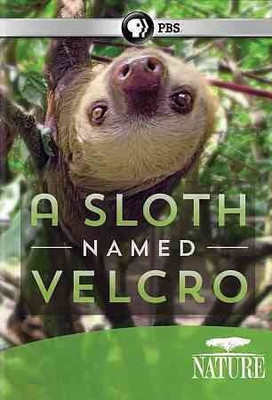 

NATURE:SLOTH NAMED VELCRO(DVD English)