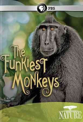 

NATURE:FUNKIEST MONKEYS(DVD English)