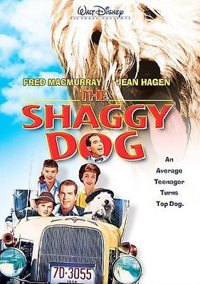 

SHAGGY DOG(DVD English)