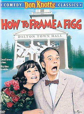 

HOW TO FRAME A FIGG(DVD English)