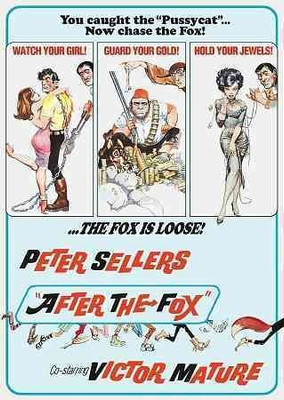 

AFTER THE FOX(DVD English)