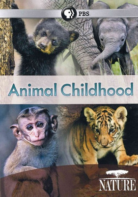 

NATURE:ANIMAL CHILDHOOD(DVD English)