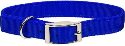 

Goofy Tails Dog Collar-1.25" Inch (Blue) Dog Everyday Collar(, Blue