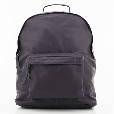 

Clocharde CLO-17-33 15 L Laptop Backpack(Purple), Plum