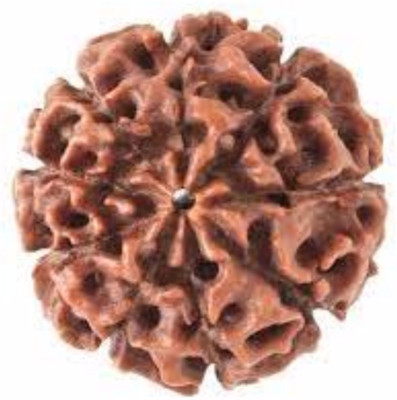 Durga gems 9 Mukhi Rudraksha Original Nepali beads Wood