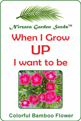 

Nirzara Garden Seeds Colorful Stone Bamboo Flower Seed(30 per packet)