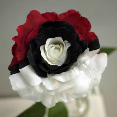 

Generic Rare Red White Rose Flower Seeds Exotic Plant Garden Decoration 20 Seed(20 per packet)