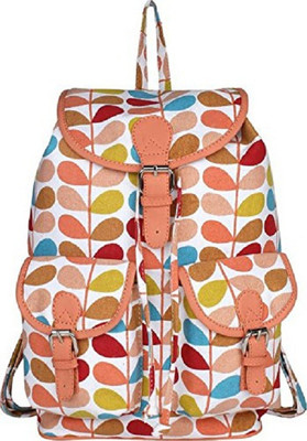 

ayeshu Ayeshu_ABHBMC058-1 2 L Backpack(Multicolor)