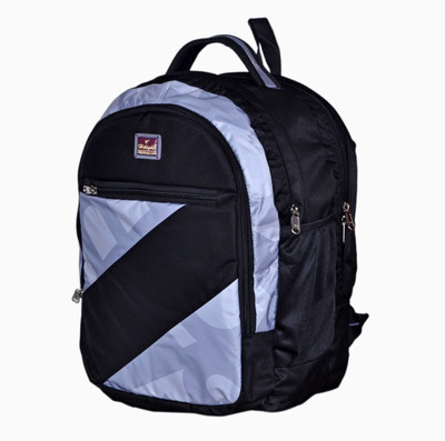 

HI-LIGHT SCHOOL AND COLLEGE BAG ART-1077 25 L Backpack(Grey, Black)