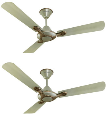 1200 mm 3 Blade Ceiling Fan(Bronze Gold 