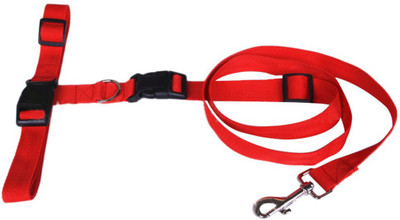 

Futaba Dog Collar & Leash(, Red