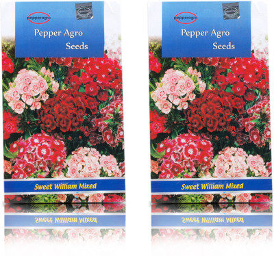

Pepper Agro Sweet William Mixed Flower seeds Seed(100 per packet)
