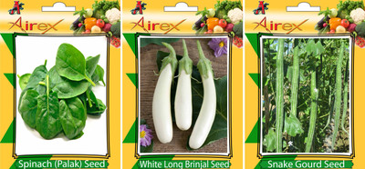 Airex Spinach, White Long Brinjal and Snake Gourd Vegetables Seeds (Pack of 15 Seeds * 3 Per Packet) Seed(15 per packet)