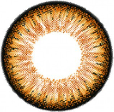 

truom coloured Monthly Contact Lens(0.00, Honey, Pack of 1)