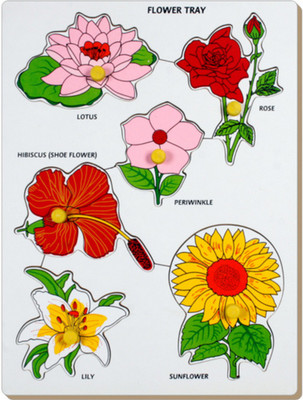 

Little Genius Flowers Tray with Knob(Multicolor)