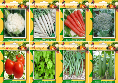

Airex Cauliflower, Radish, Red Carrot, Broccoli, Lobia, Ridge Gourd, Tomato and Coriander Vegetables Seeds (Pack of 25 Seeds * 8 Per Packet) Seed(25 per packet)