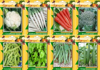 Airex Cauliflower, Radish, Red Carrot, Broccoli, Lobia, Ridge Gourd, Cucumis and Coriander Vegetables Seeds (Pack of 20 Seeds * 8 Per Packet) Seed(20 per packet)