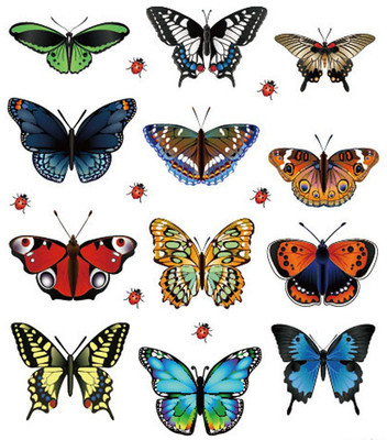 

GutarGoo  Butterfly Decals 3D Wall Stickers For Window Fridge Kids Rooms Decal Decor Sticker(Pack of 19, Multicolor
