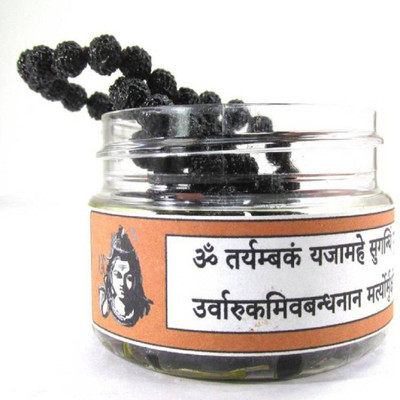 SHIVOHAM Shiva Mantra-Siddha Rudraksha Mala 108 + 1 Premium Quality Dori Necklace