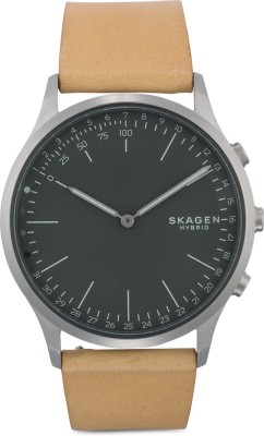 Skagen SKT1200 Watch  - For Men   Watches  (Skagen)