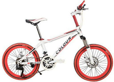 

GOGO A1.COM Colour City Bicycle With High Carbon Steel Frame And 20’’ Wheels 20 T Recreation Cycle(21 Gear, White)