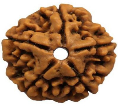 SHIVOHAM Lab Certified 5 Mukhi Rudraksha Silk Dori Pendant