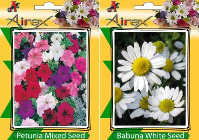 Airex Petunia Mixed and Babuna White Flower Seeds (Pack Of 15 Seeds * 2 Per Packet) Seed(15 per packet)
