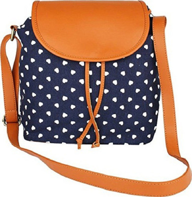 

ayeshu Women Casual Blue Canvas Sling Bag
