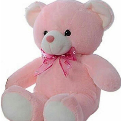 

Blue Barrel SOFT N CUTE TEDDY BEAR-45 CM - 47 cm(Pink)