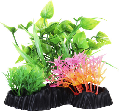 

Jainsons Crushed Coral Planted Substrate(Multicolor)