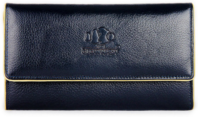 

The Clownfish Casual Blue Clutch