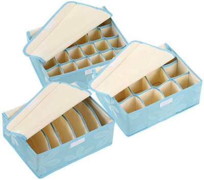 

House of Quirk Lingerie Storage Case(Bra and Panty, Pack of 3)