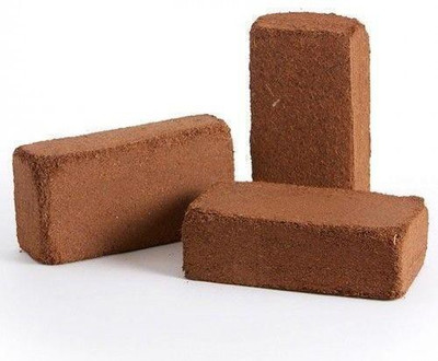 

get some deals Coco Peat for Seed Germination / Potting Plant(Yes Pack of 1 Herb)